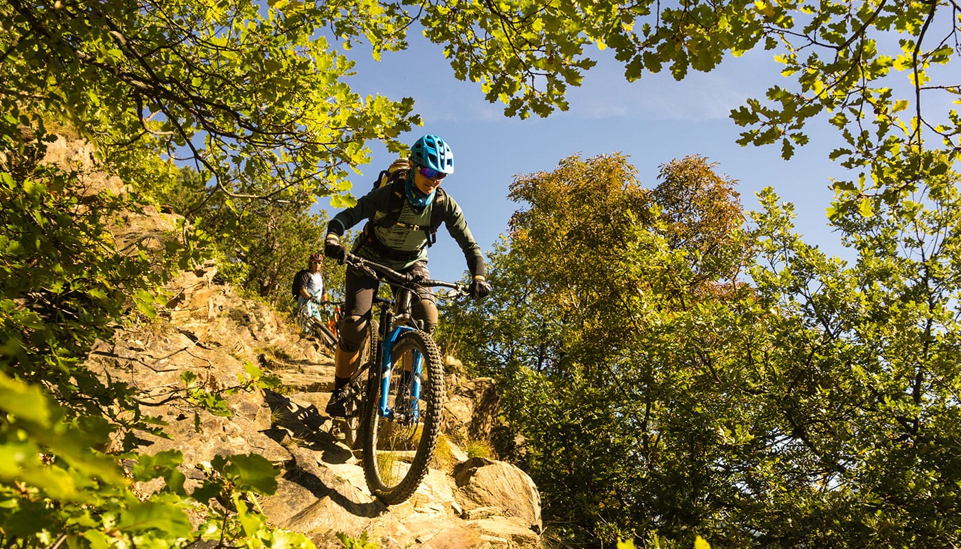Alpine Trails surfen