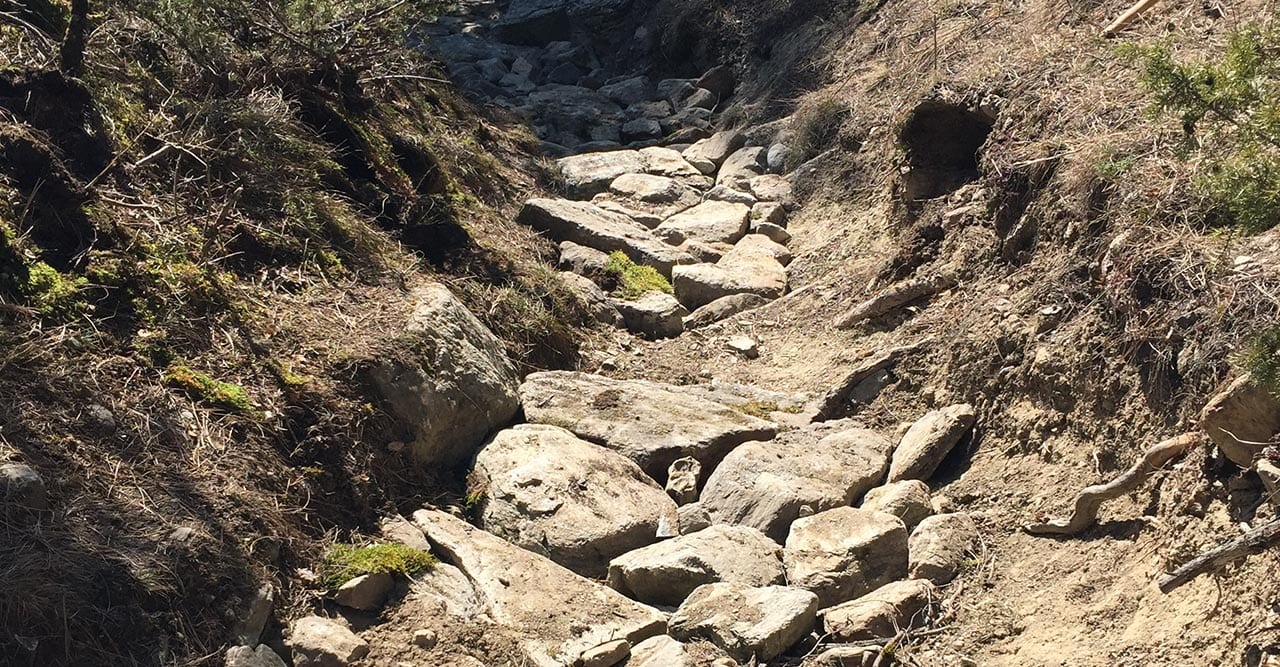 Trailcare am Flipsi Trail