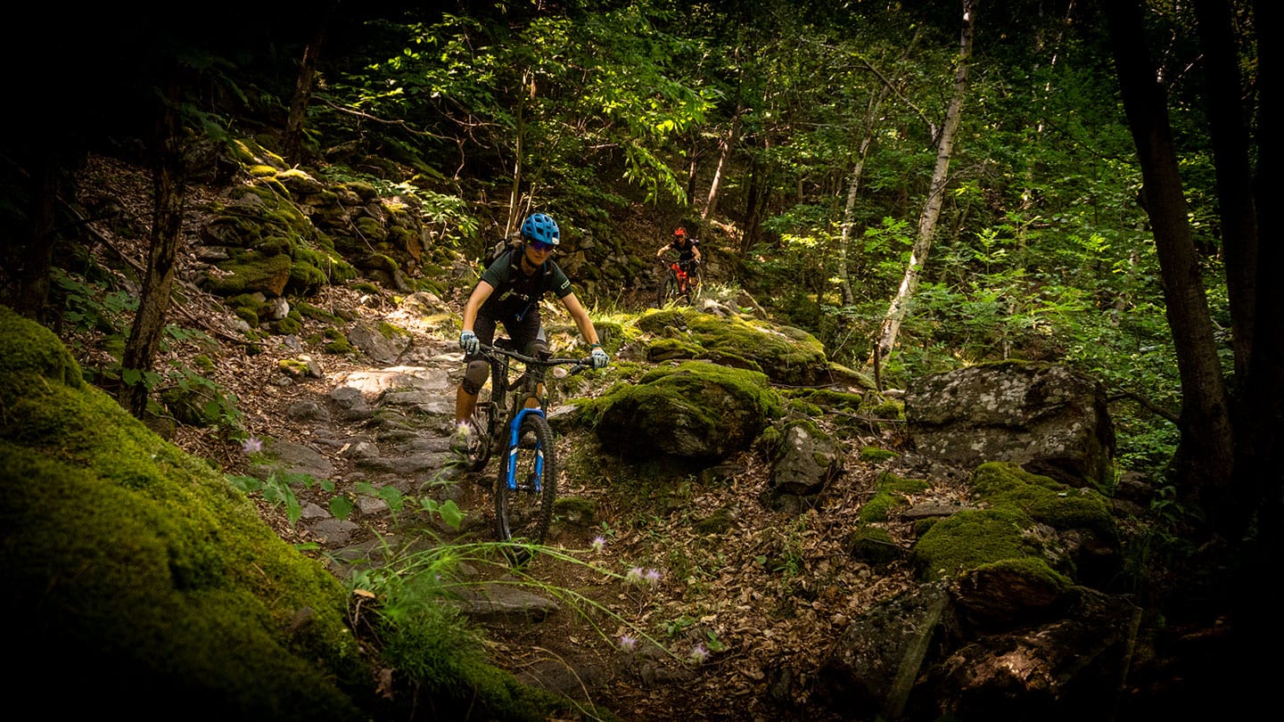 Cool Trail