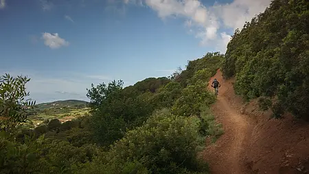 Conquistadores Trails